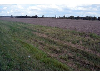 Property photo 31 - EHLE FARMS AUCTION - 118+/- ACRES IN 9 TRACTS IN ALLEN COUNTY, INDIANA